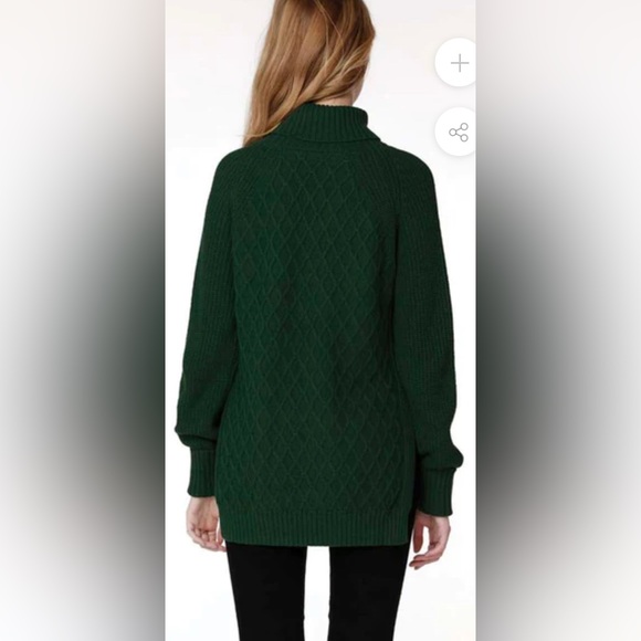 NWT Bobi Raglan Turtleneck Sweater Hunter Green - Picture 3 of 9